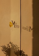 Casa Mespilea