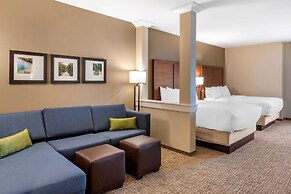 Comfort Inn & Suites Clarkston Pine Knob Area