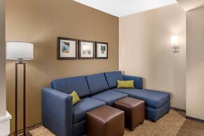 Comfort Inn & Suites Clarkston Pine Knob Area