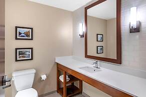 Comfort Inn & Suites Clarkston Pine Knob Area