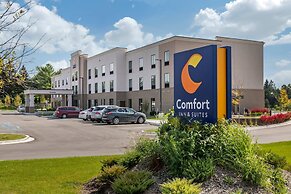 Comfort Inn & Suites Clarkston Pine Knob Area