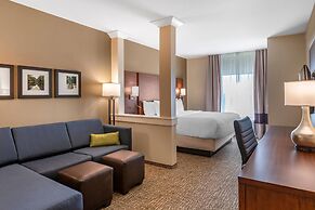 Comfort Inn & Suites Clarkston Pine Knob Area