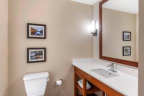 Comfort Inn & Suites Clarkston Pine Knob Area