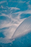 Allia Thermal Health & Spa Kazdagları