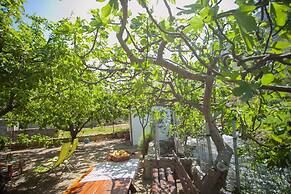 House With Large Garden, Right Next to the River
