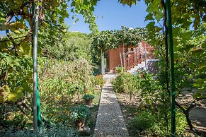 House With Large Garden, Right Next to the River