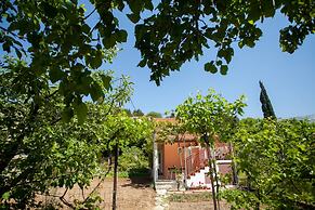 House With Large Garden, Right Next to the River