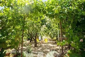 House With Large Garden, Right Next to the River