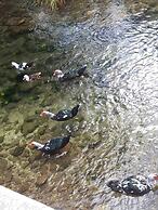House With Large Garden, Right Next to the River