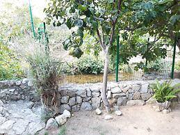 House With Large Garden, Right Next to the River