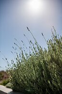 Seametry Luxrury Living Penthouse