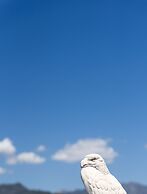 Apartamentos Toboso Plaza