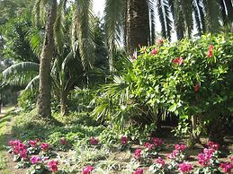 House Semi-detached Blancanieves