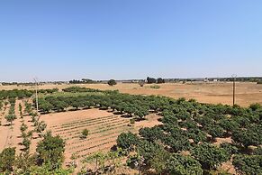 B b With Swimming Pool Tenuta Agrumi del Salento Triple Deluxe Citrus