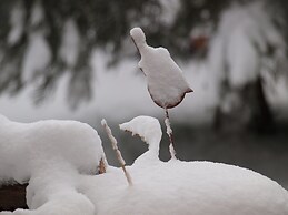 Apartamento Alto Casa Pirineos