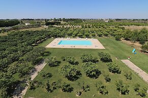 Triple Superior Red Orange