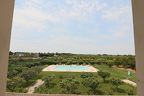 Triple Superior Red Orange