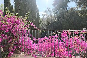 Executive Suite - Calais