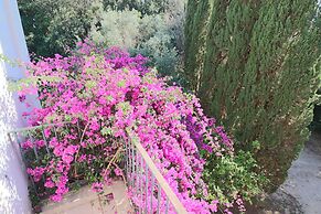 Executive Suite - Calais