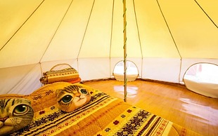 Geochang Glamping Pension