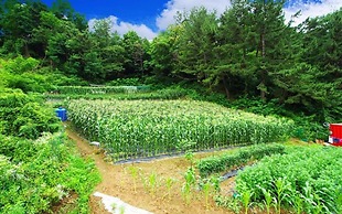 Samcheok Supsokbada Pension