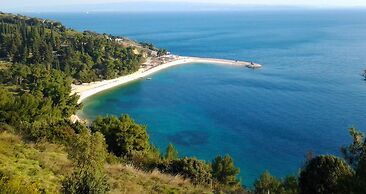 Comfortable Modern Studio With Shaded Patio