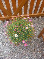 Stunning 1-bed Apartment Valentia Island