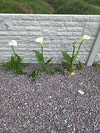 Stunning 1-bed Apartment Valentia Island