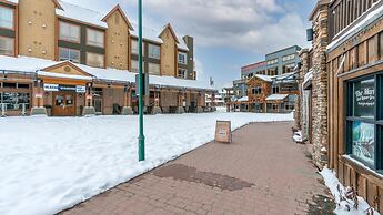 I Spy - Cozy Pet Friendly, Ski In/Ski Out Condo with Private Hot Tub