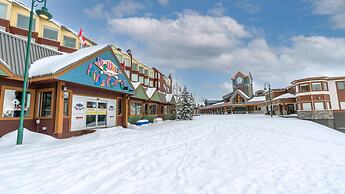 I Spy - Cozy Pet Friendly, Ski In/Ski Out Condo with Private Hot Tub