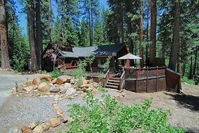 The Bernstein Bear Cabin