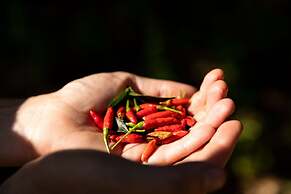 Ciêla, Lusaka, a Tribute Portfolio Resort and Spa