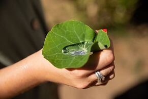 Ciêla, Lusaka, a Tribute Portfolio Resort and Spa