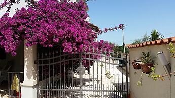Villa With Garden and Pool, Supetar, Island Brac
