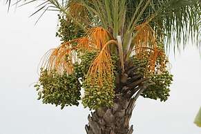 Presa Di Finica Hotel