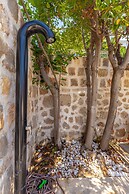 Hedera Estate, Hedera A54