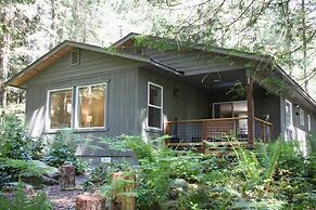 30gs - Bbq - Hot Tub - Wi-fi - Pets Okay - Sleeps 8 3 Bedroom Cabin by