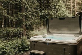 30gs - Bbq - Hot Tub - Wi-fi - Pets Okay - Sleeps 8 3 Bedroom Cabin by