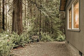 30gs - Bbq - Hot Tub - Wi-fi - Pets Okay - Sleeps 8 3 Bedroom Cabin by