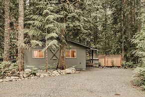 30gs - Bbq - Hot Tub - Wi-fi - Pets Okay - Sleeps 8 3 Bedroom Cabin by