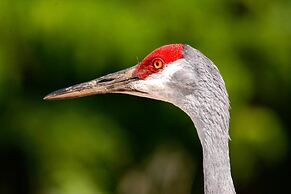 Crowne Plaza Kearney by IHG