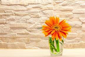 Classy Apartment in the Center of Split