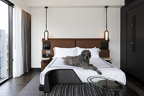 Thompson Denver, by Hyatt