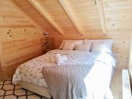 Lovely 4-bed Cottage in Kolasin