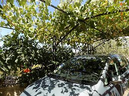 2 - Modern Apartment With Garden, 80m From Beach