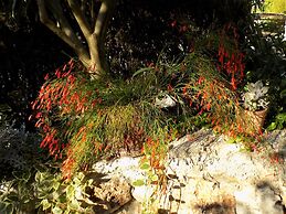 2 - Modern Apartment With Garden, 80m From Beach