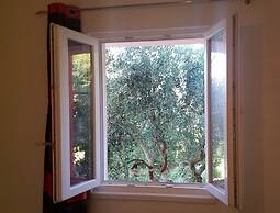 1 - Modern apt w big Garden & Terrace w. sea View