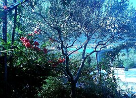 1 - Modern apt w big Garden & Terrace w. sea View