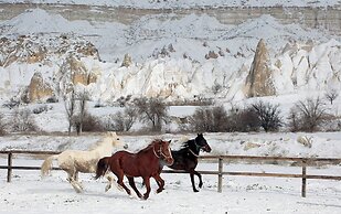 Kayakapi Premium Caves - Cappadocia
