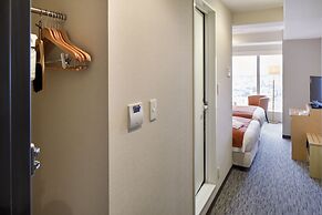 HOTEL MYSTAYS Hakodate Goryokaku